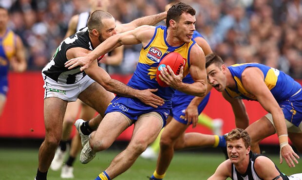 AFL 2018 Toyota AFL Grand Final - West Coast v Collingwood MELBOURNE, AUSTRALIA - SEPTEMBER 29: Luke Shuey of the Eagles runs with the ball during the 2018 Toyota AFL Grand Final match between the West Coast Eagles and the Collingwood Magpies at the Melbourne Cricket Ground on September 29, 2018 in Melbourne, Australia. (Photo by Scott Barbour/AFL Media)